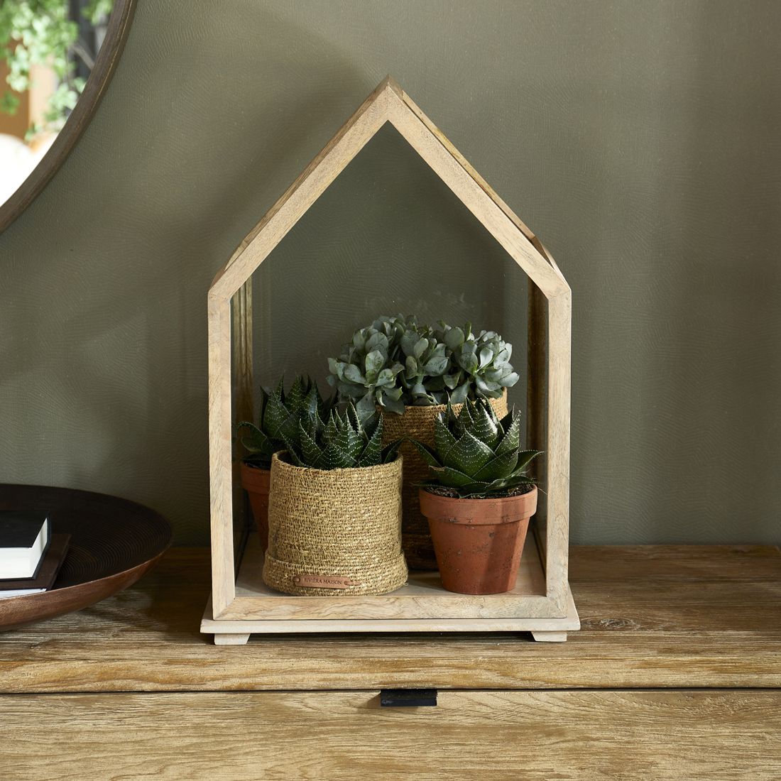 Display Box De Saleccia, L