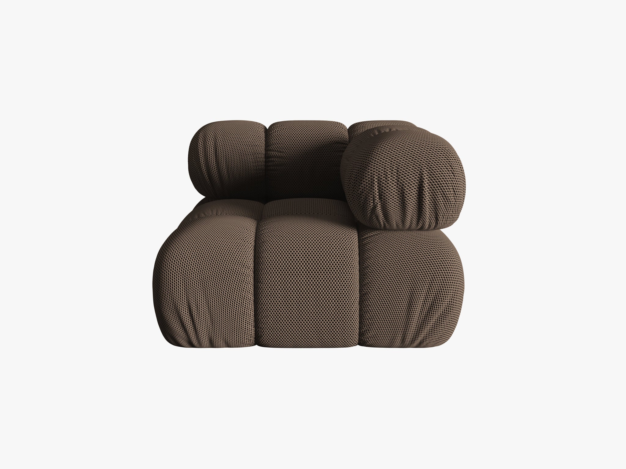 Bellis kutni modul