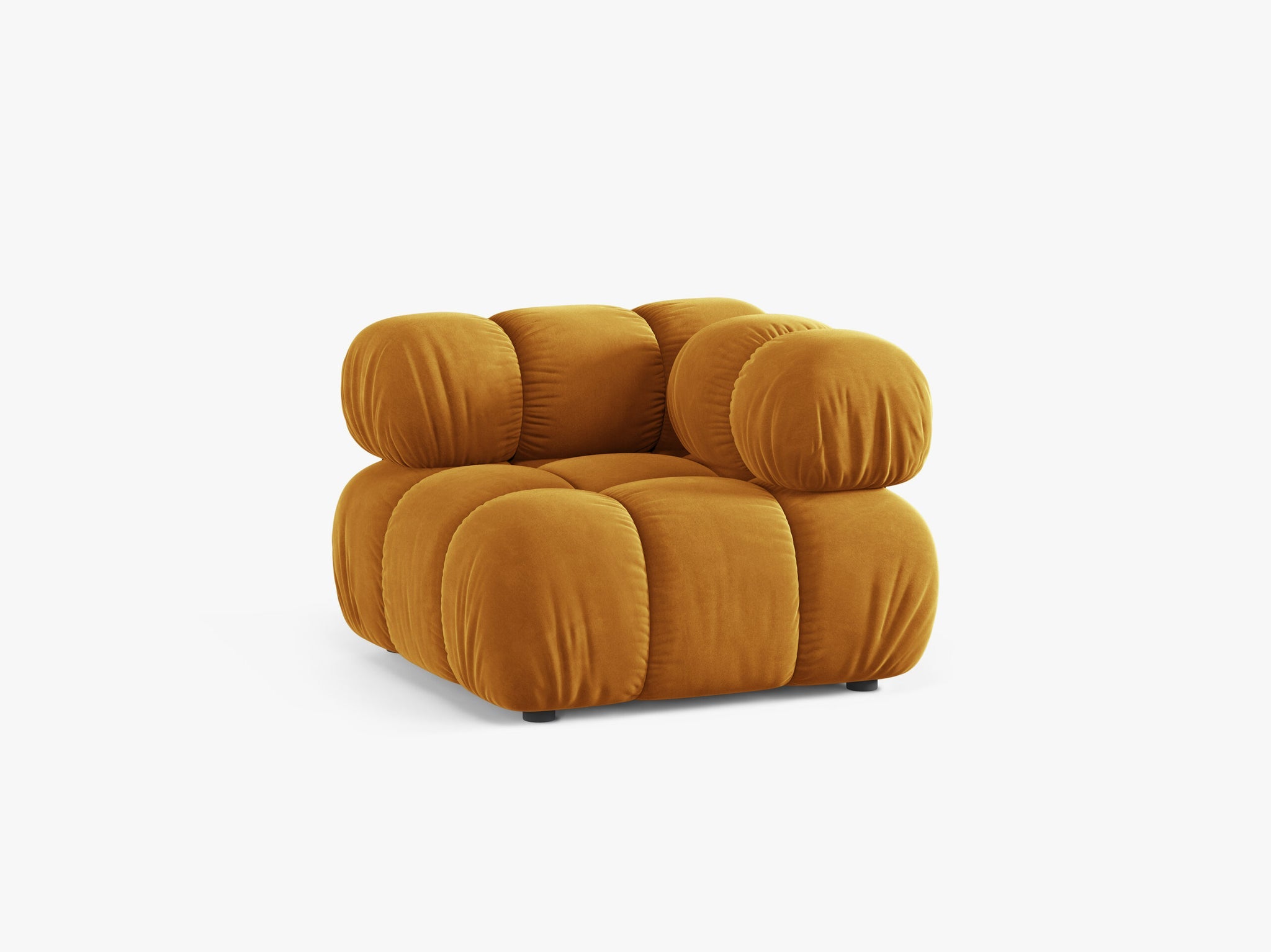 Bellis kutni modul