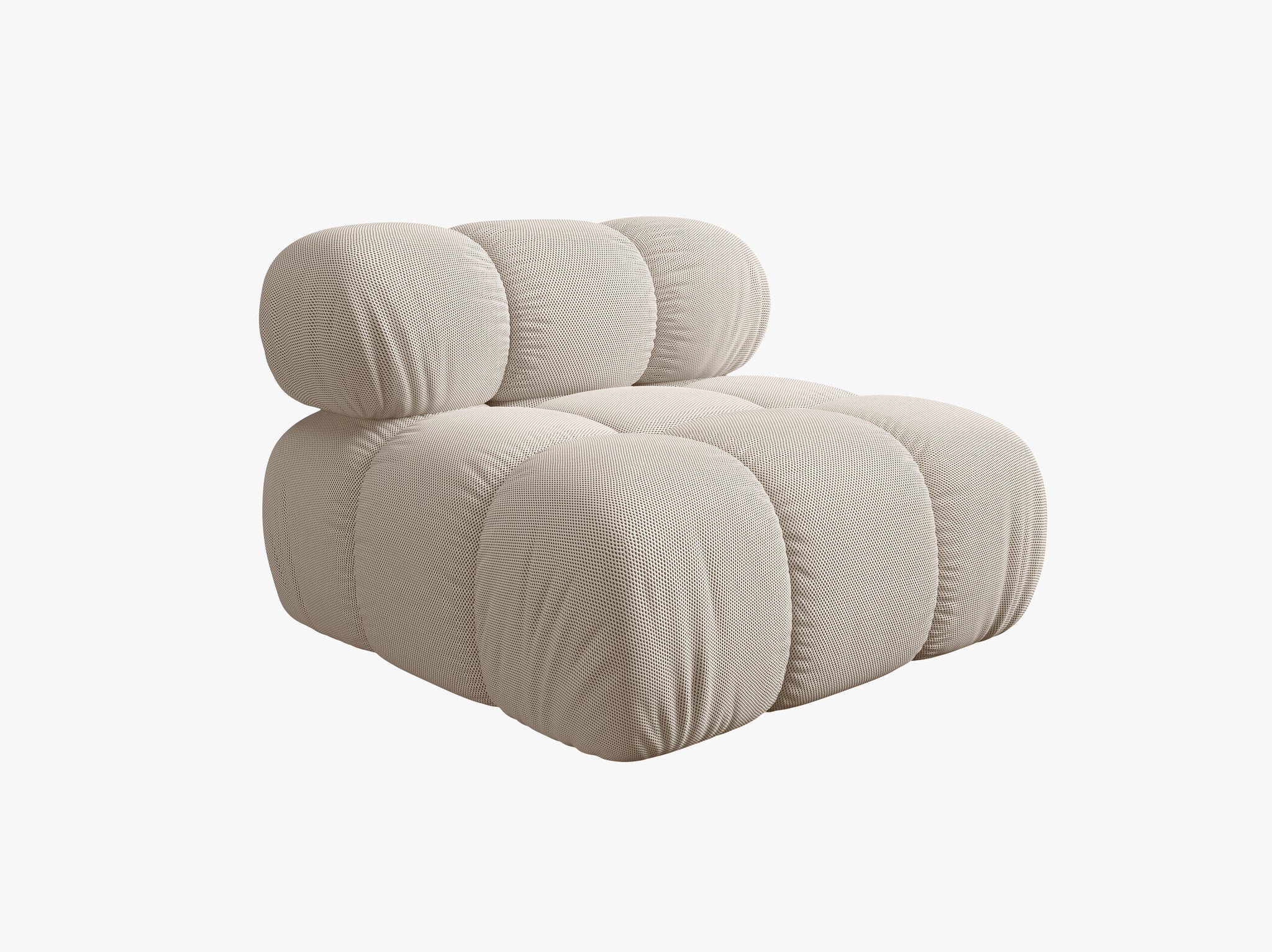 Bellis bazni modul