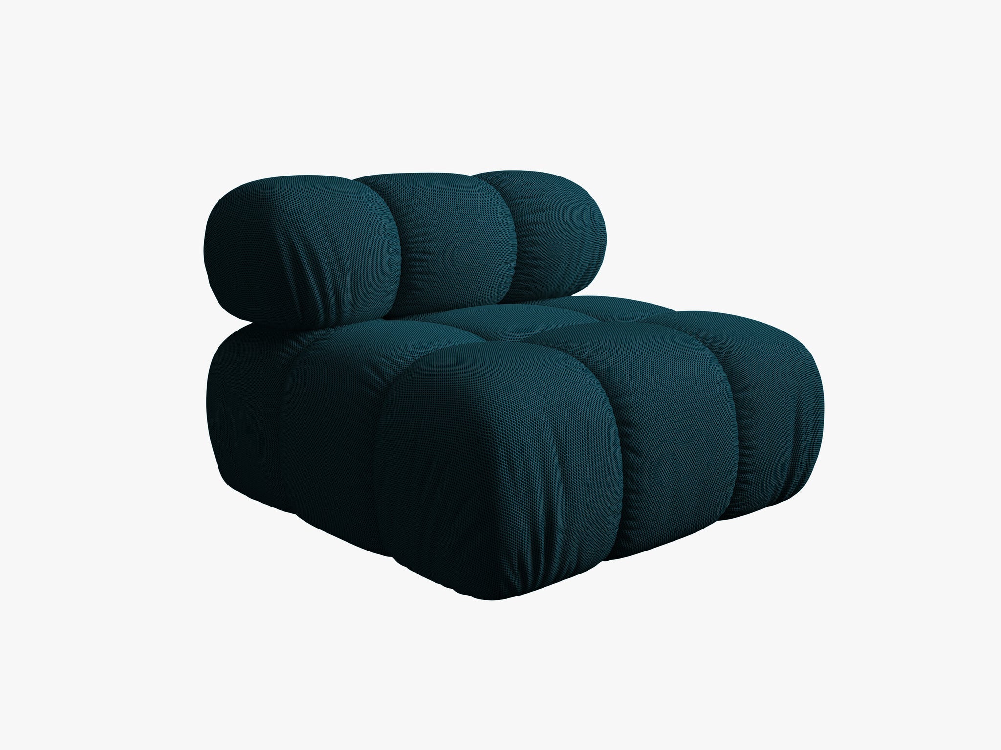 Bellis bazni modul