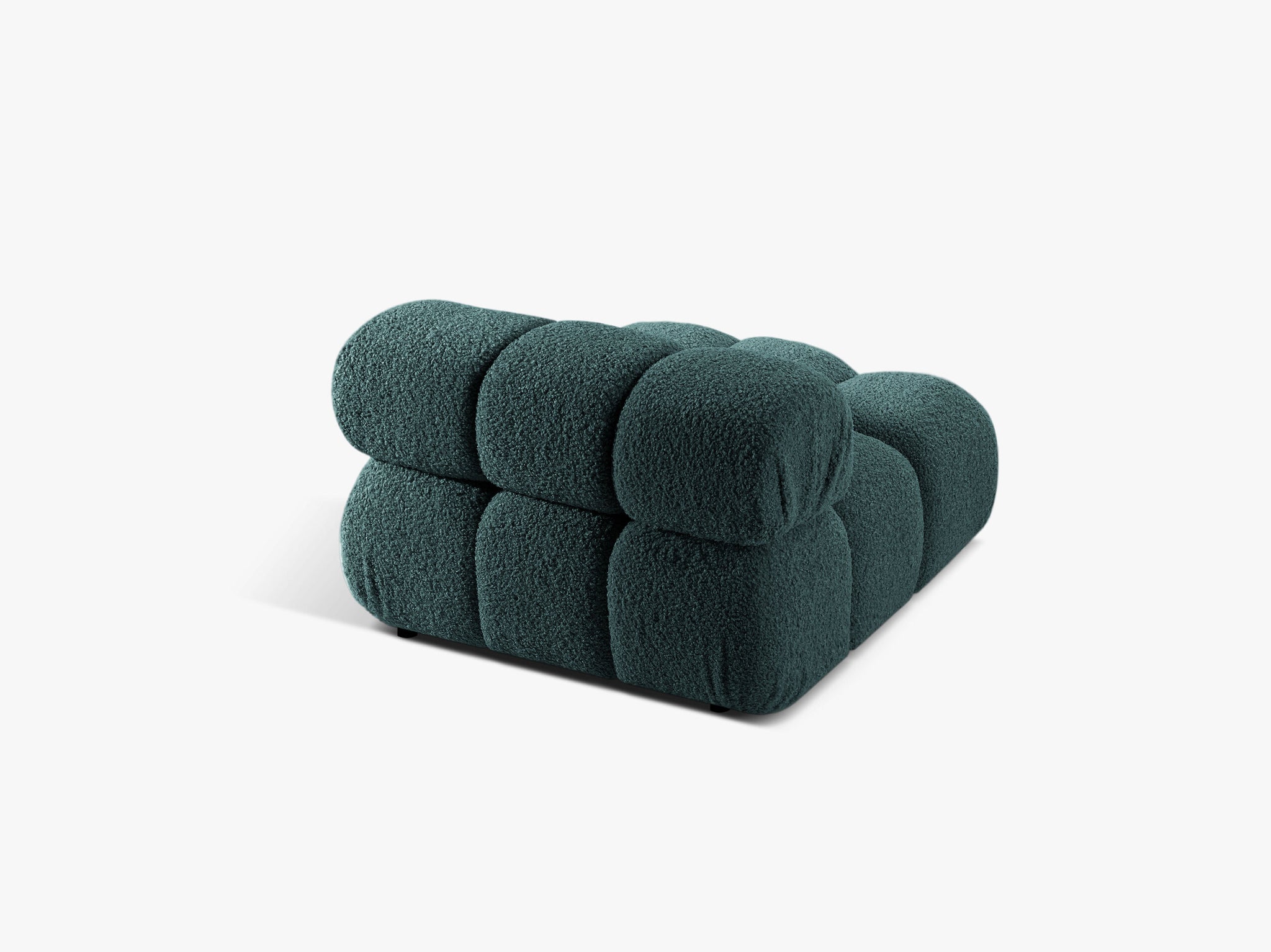 Bellis bazni modul