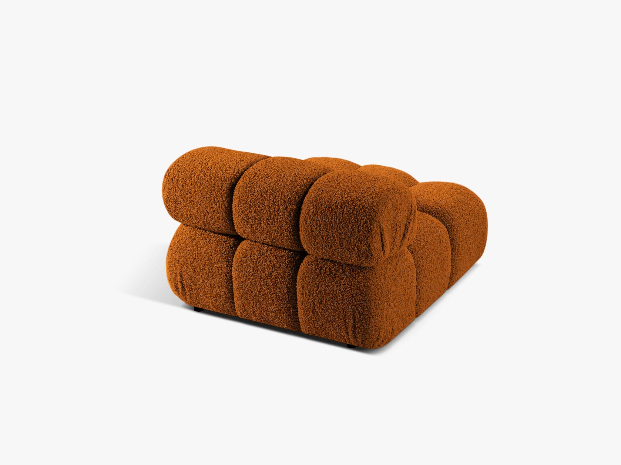 Bellis bazni modul