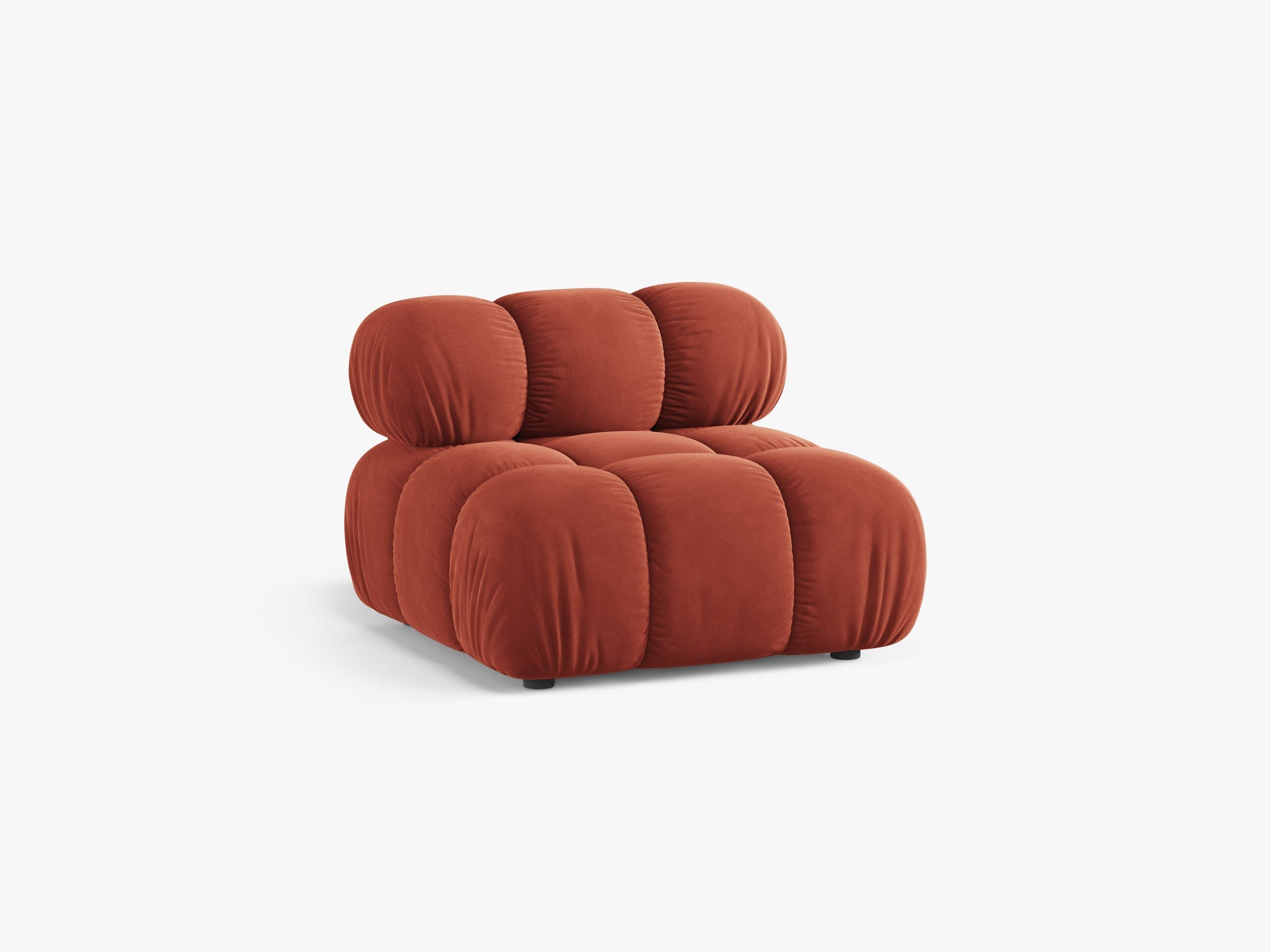 Bellis bazni modul