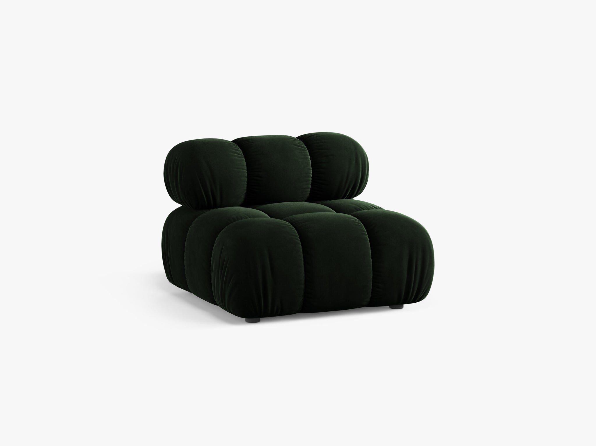 Bellis bazni modul