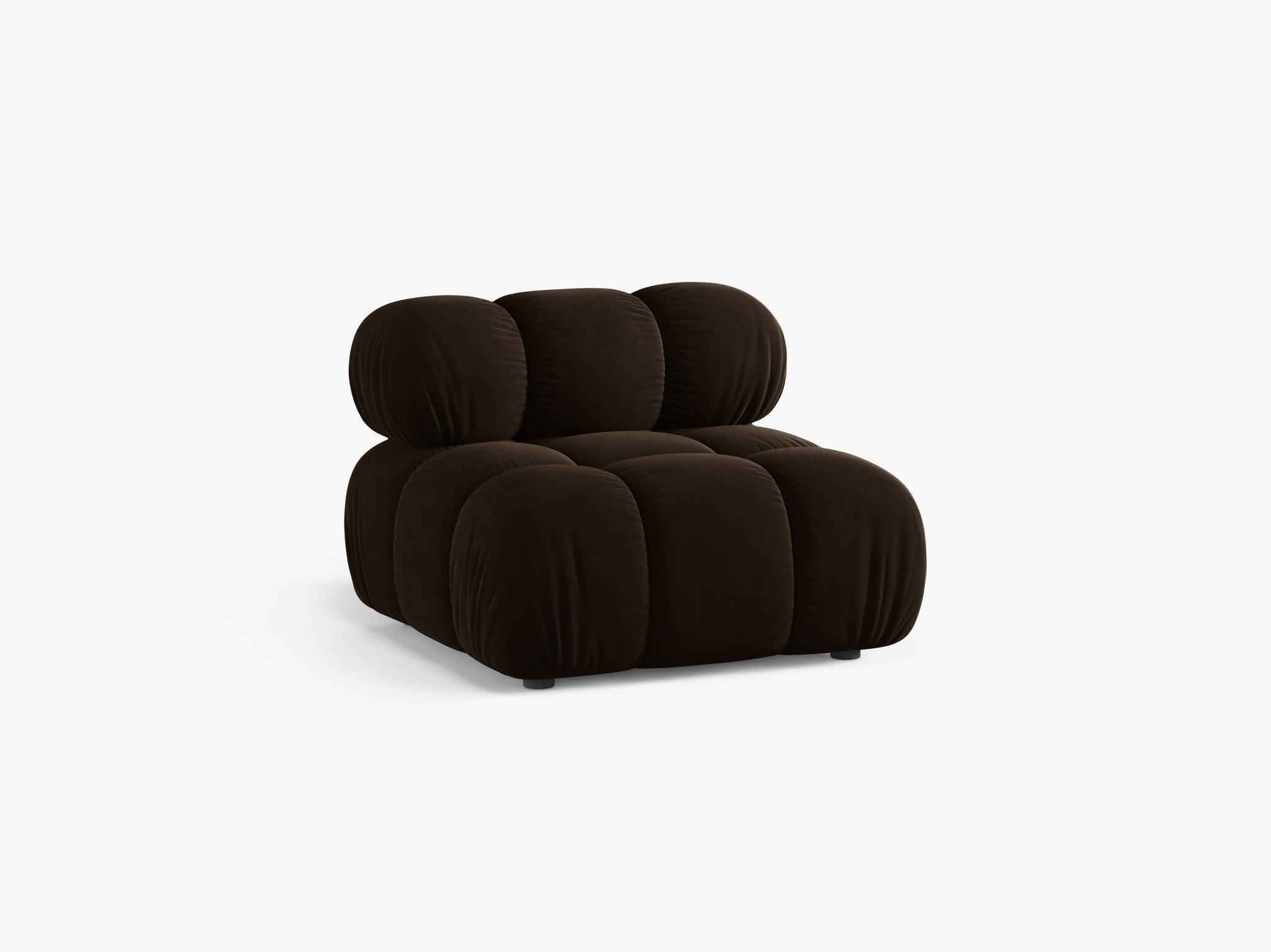 Bellis bazni modul