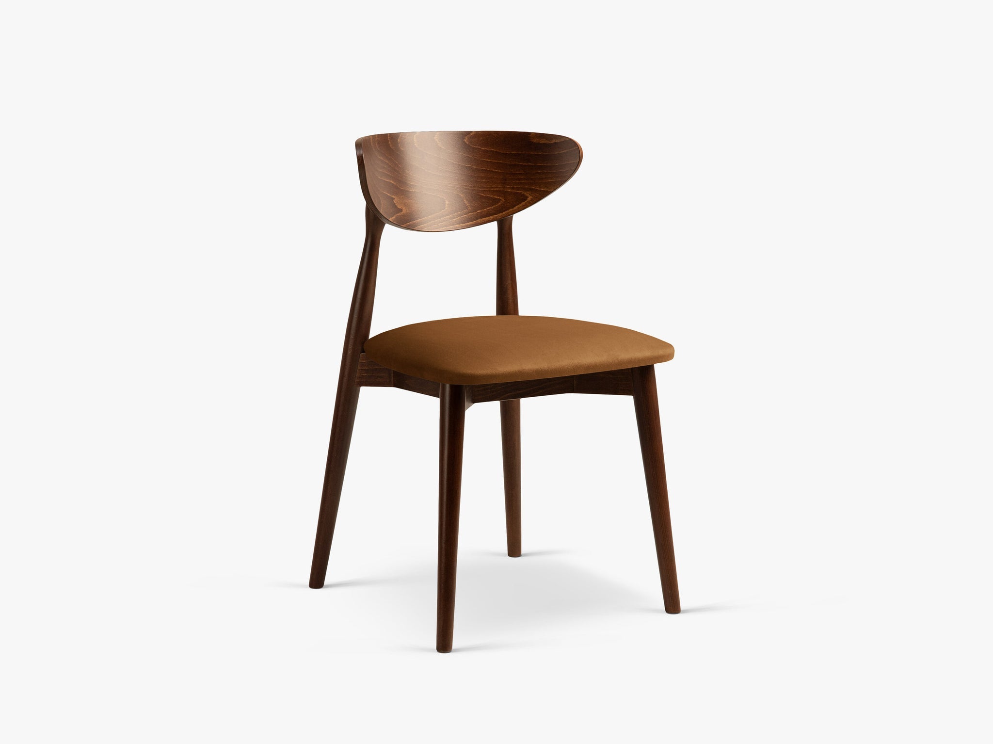 Leon blagovaonska stolica