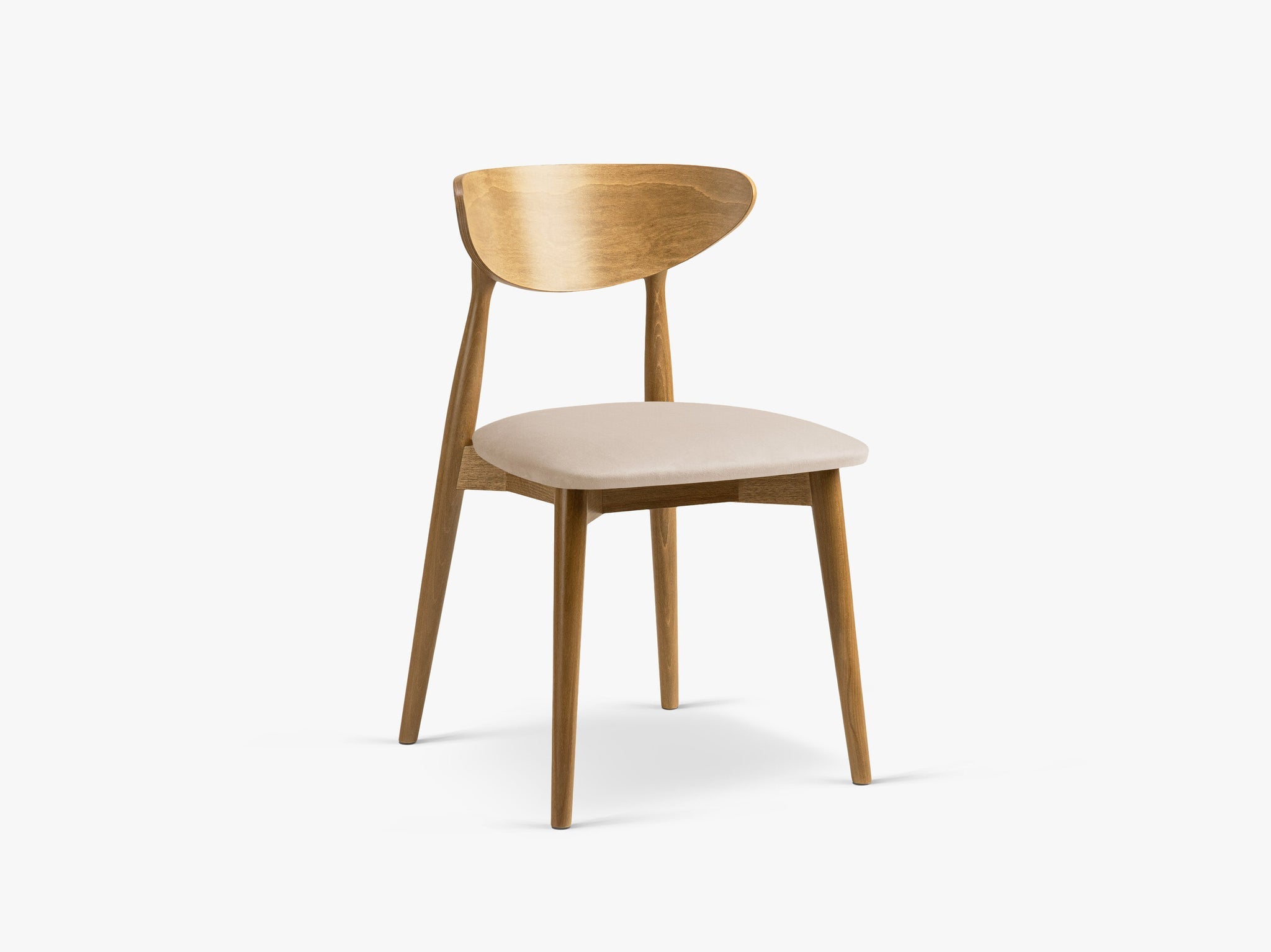 Leon blagovaonska stolica