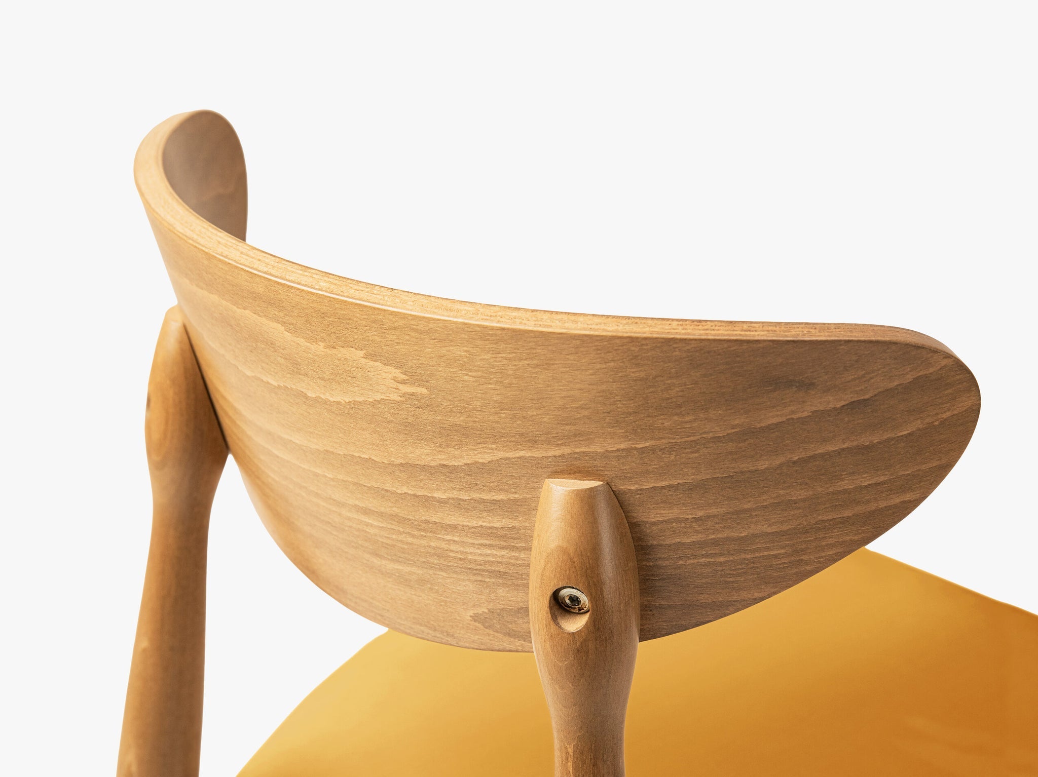 Leon blagovaonska stolica