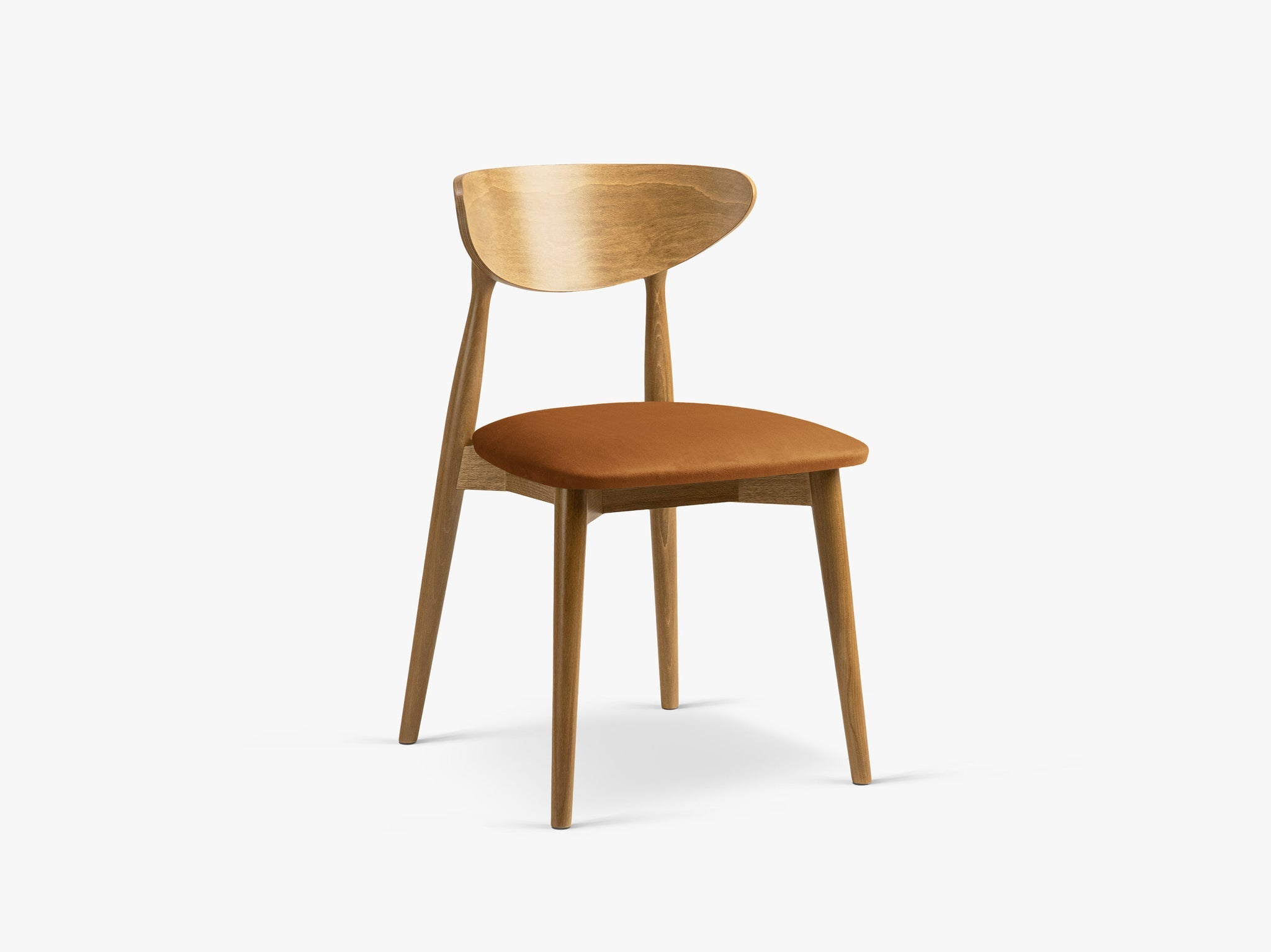 Leon blagovaonska stolica