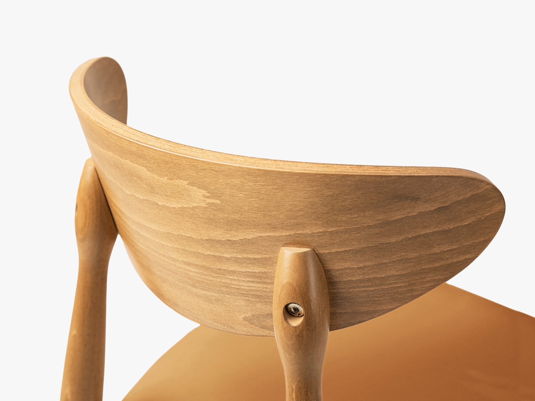 Leon blagovaonska stolica