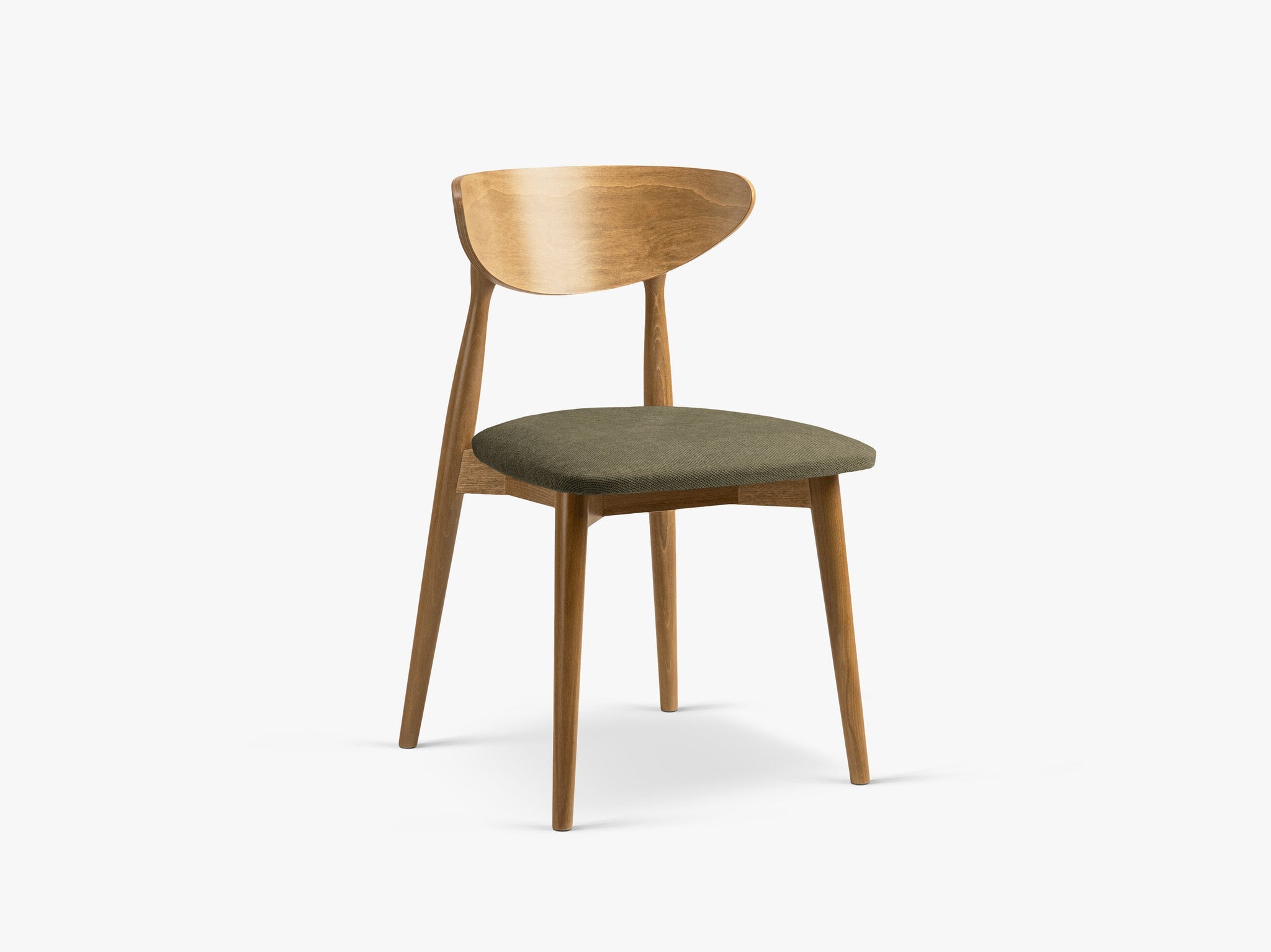 Leon blagovaonska stolica