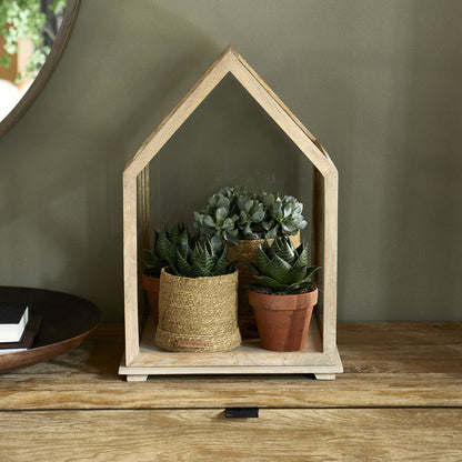 Display Box De Saleccia, L