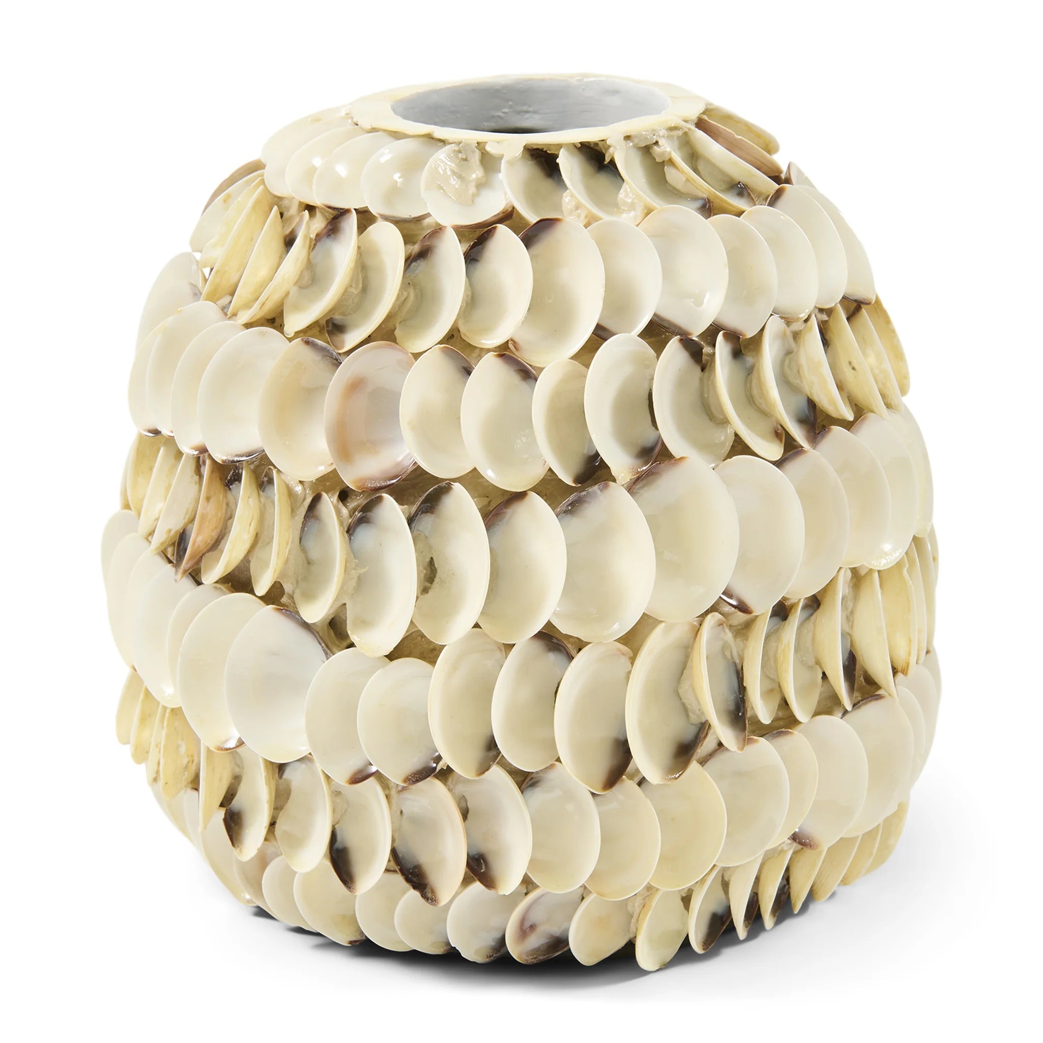 Ocean Cay Shell Vaza Niska 24x24x23