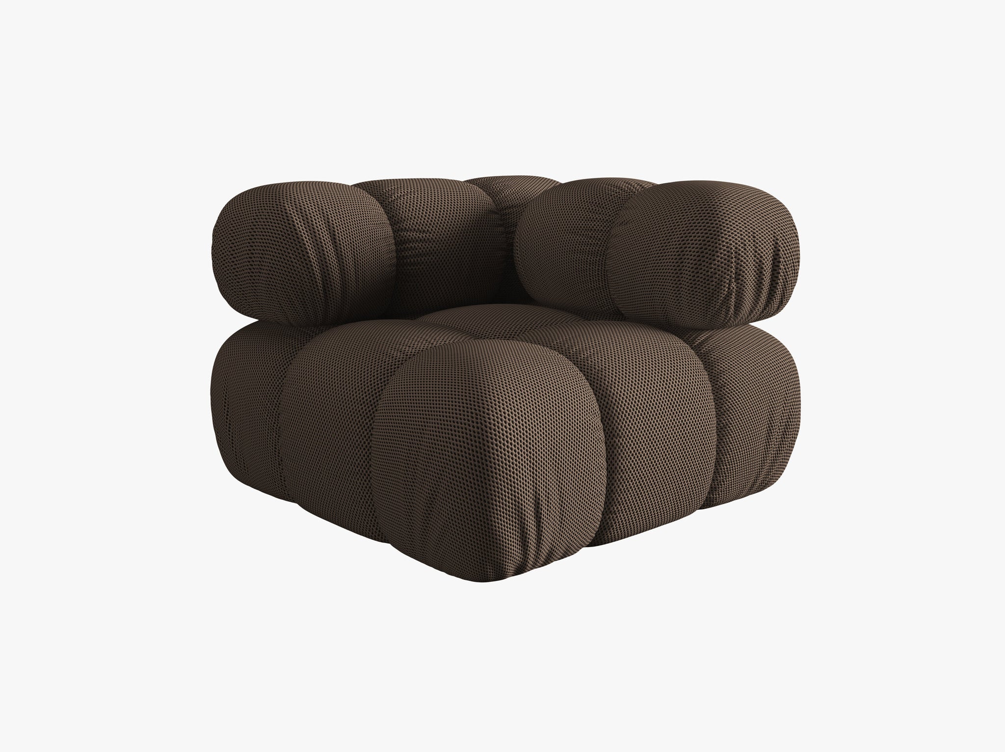 Bellis kutni modul
