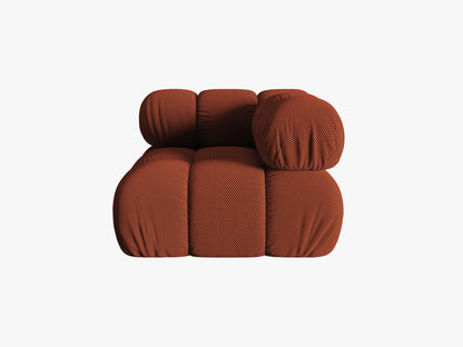 Bellis kutni modul