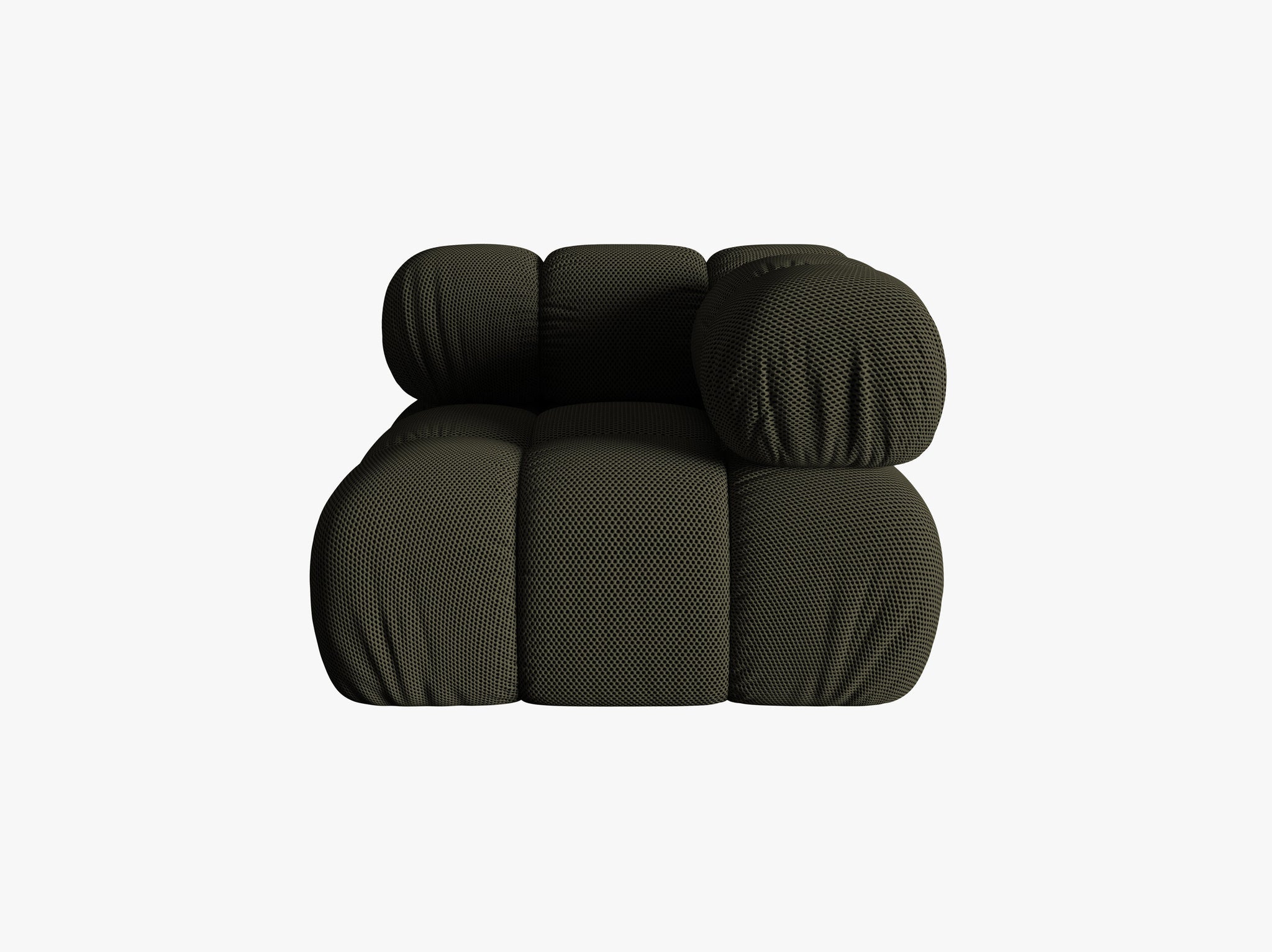 Bellis kutni modul
