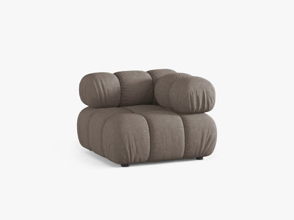 Bellis kutni modul