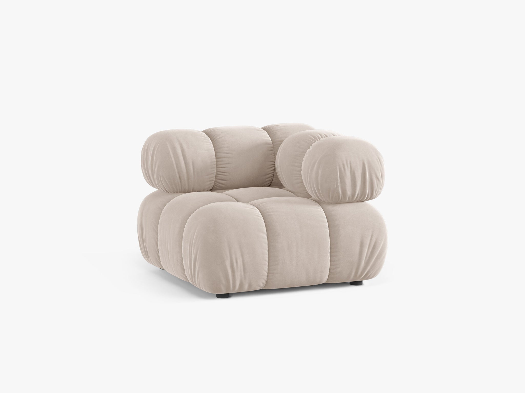 Bellis kutni modul