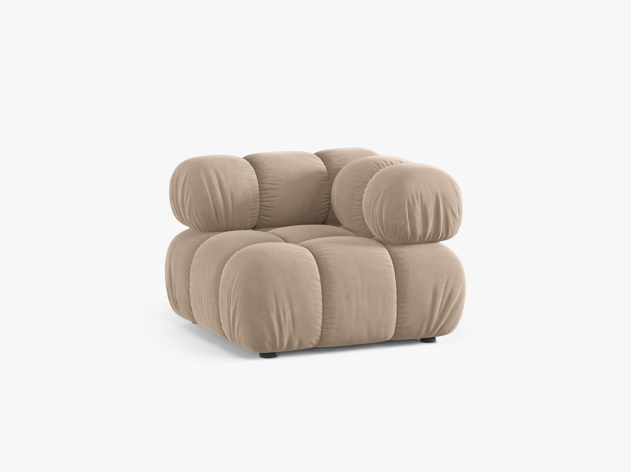 Bellis kutni modul