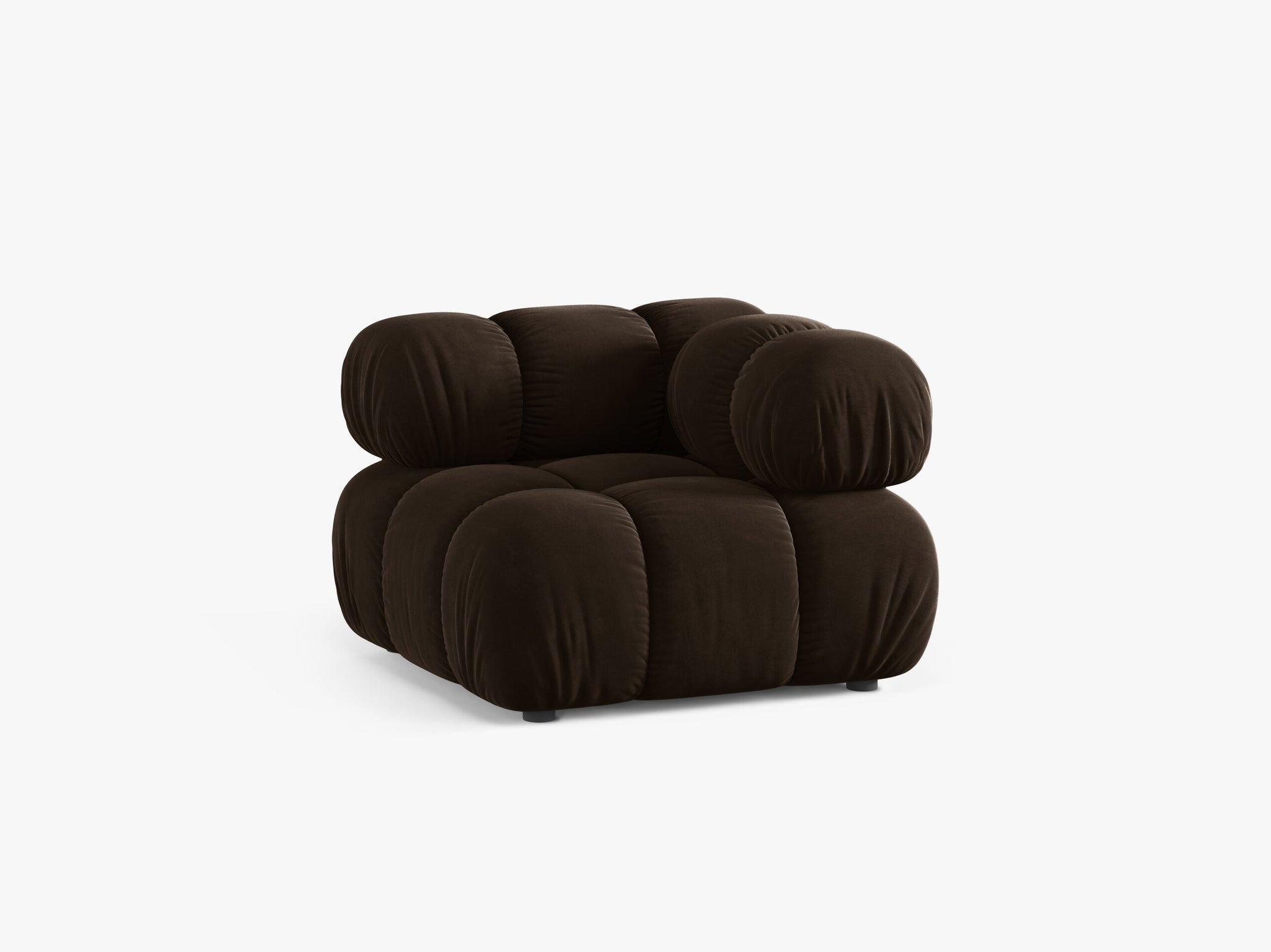 Bellis kutni modul