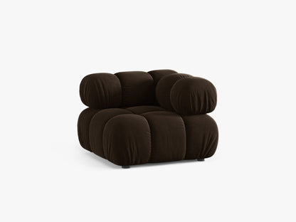 Bellis kutni modul