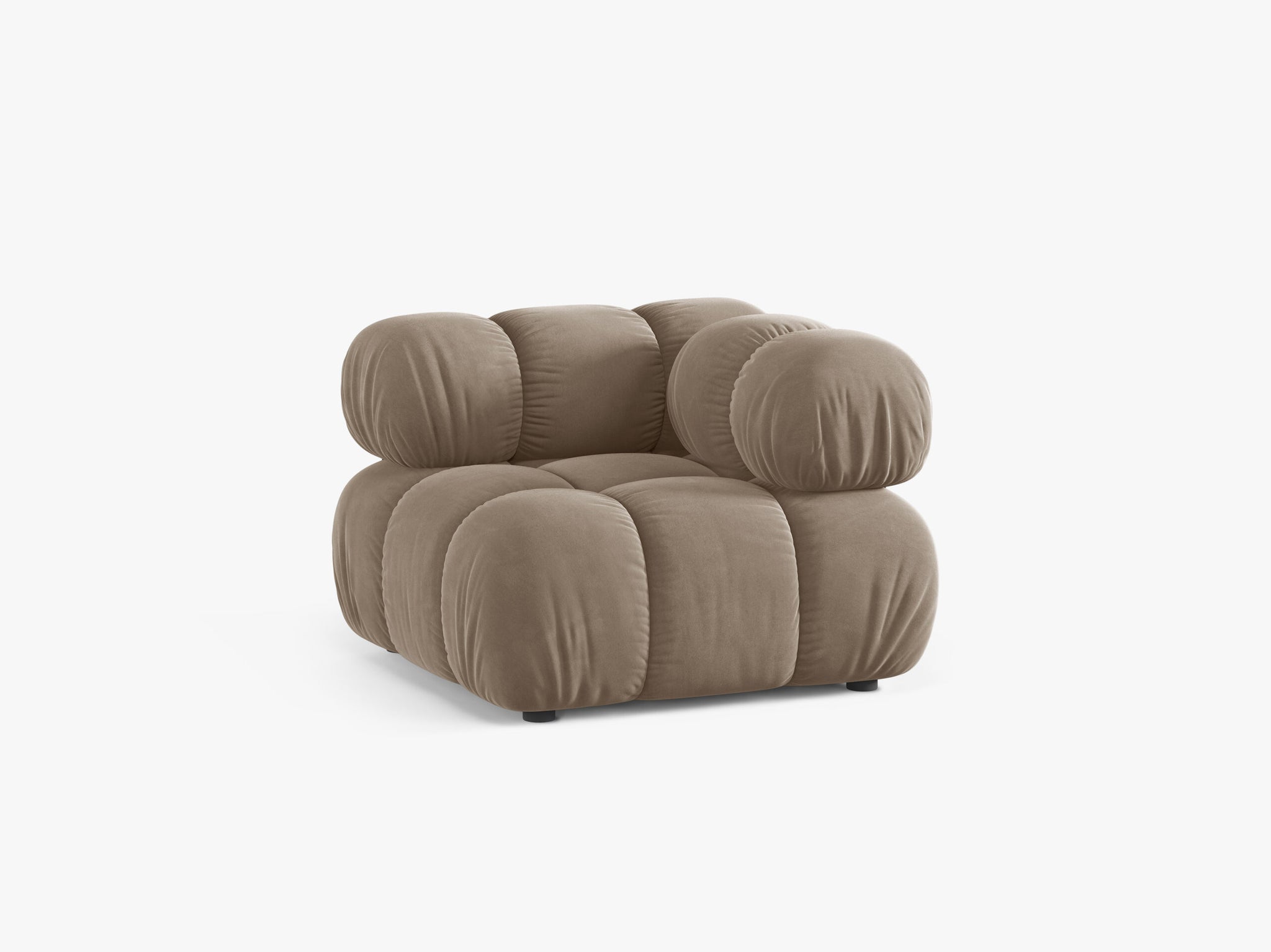 Bellis kutni modul