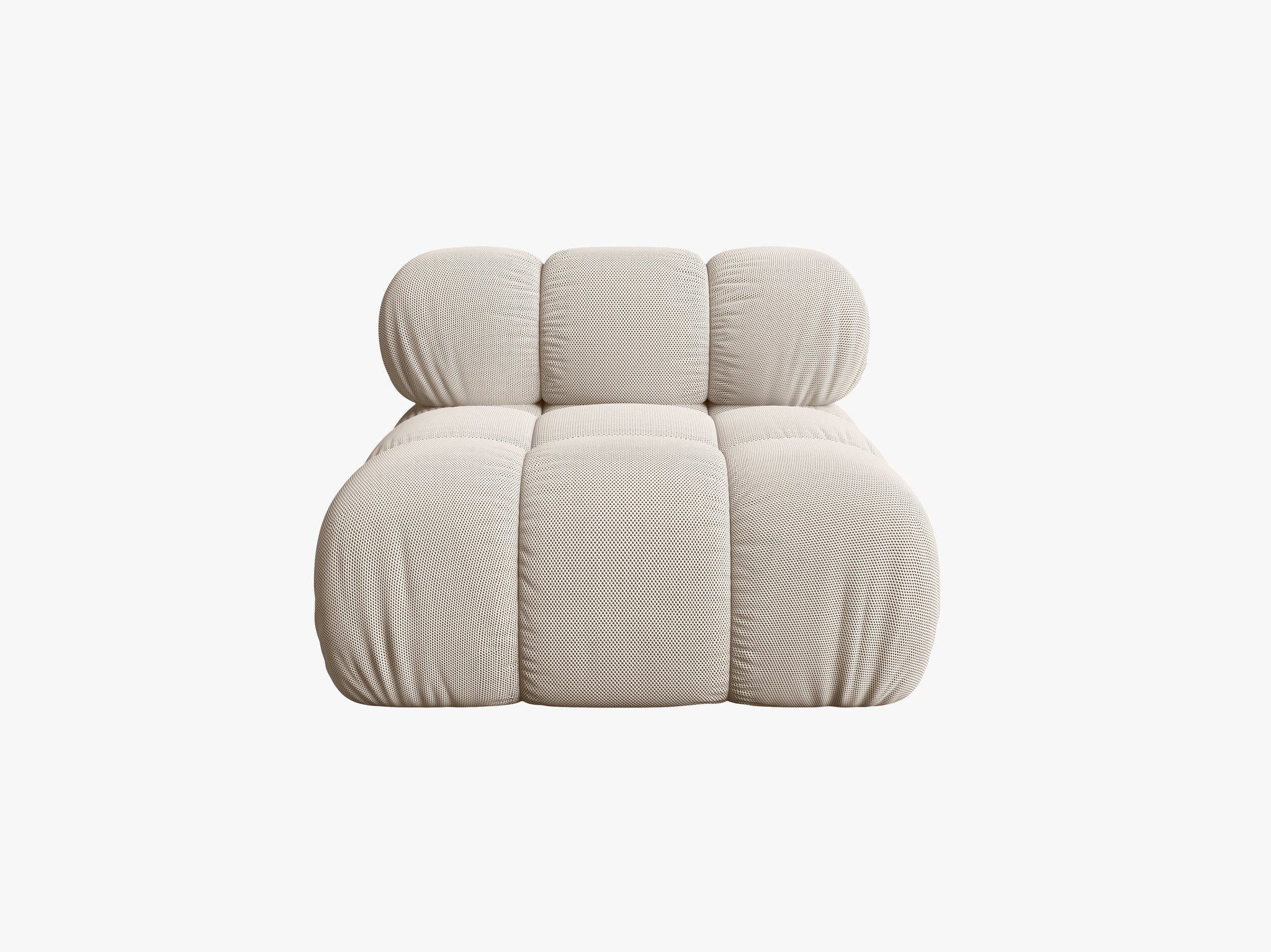 Bellis bazni modul
