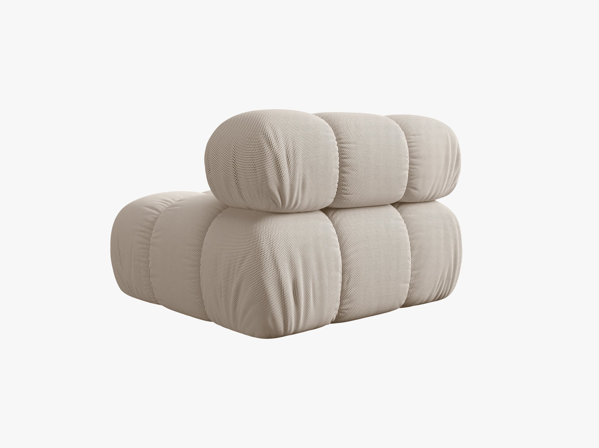 Bellis bazni modul