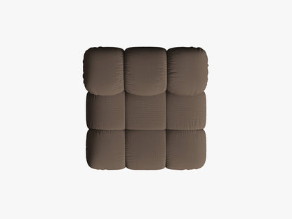Bellis bazni modul