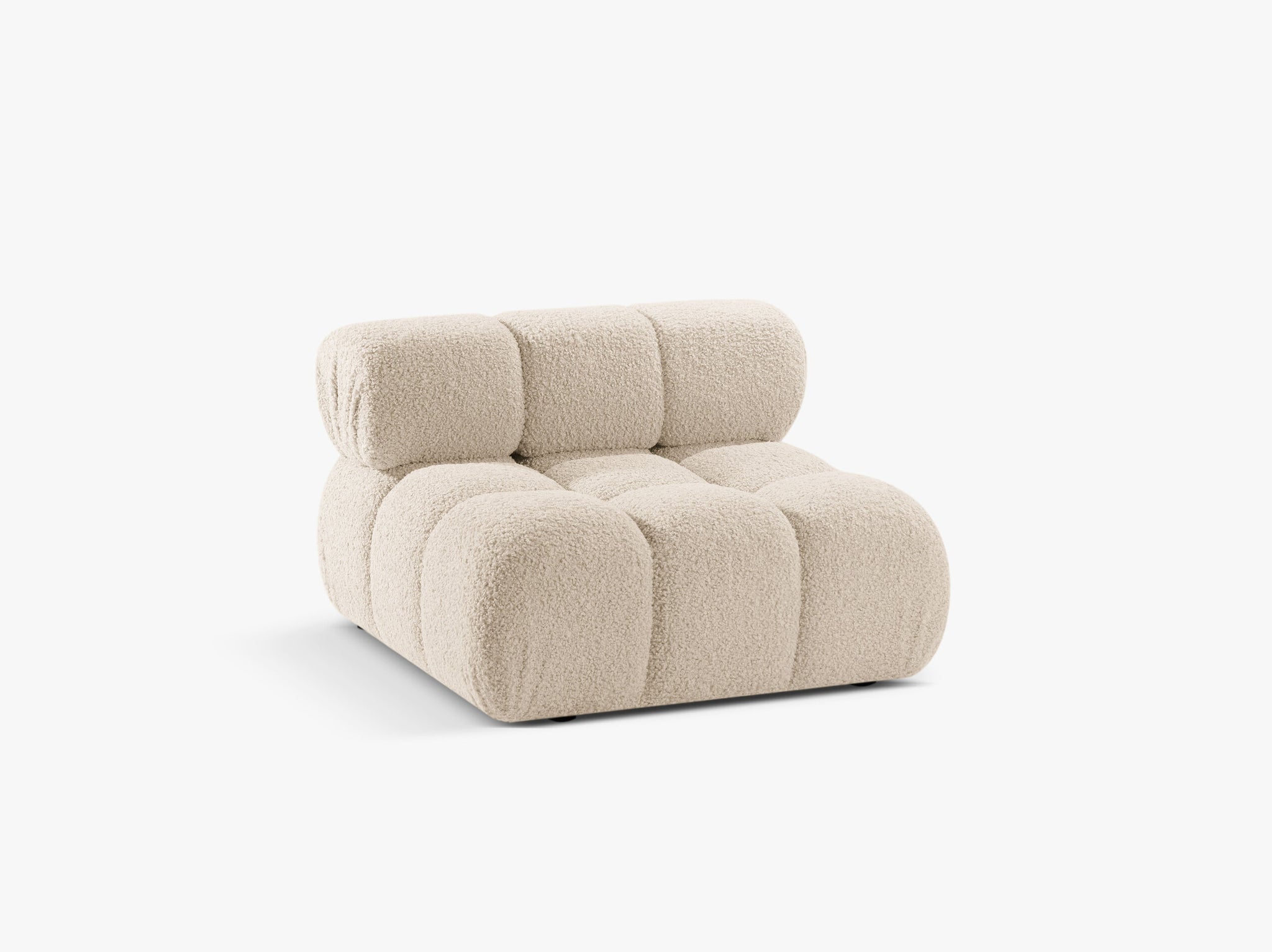 Bellis bazni modul