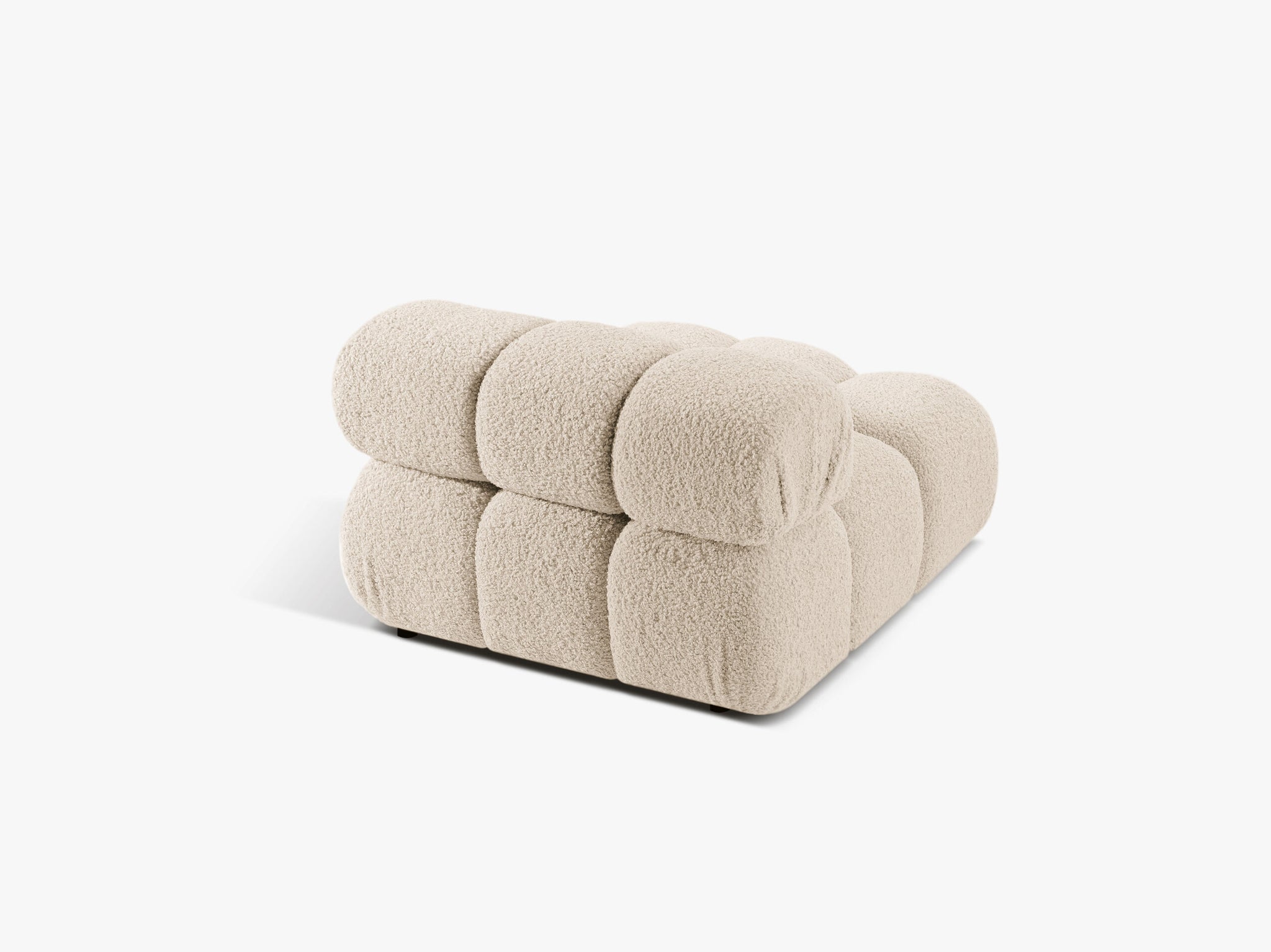 Bellis bazni modul