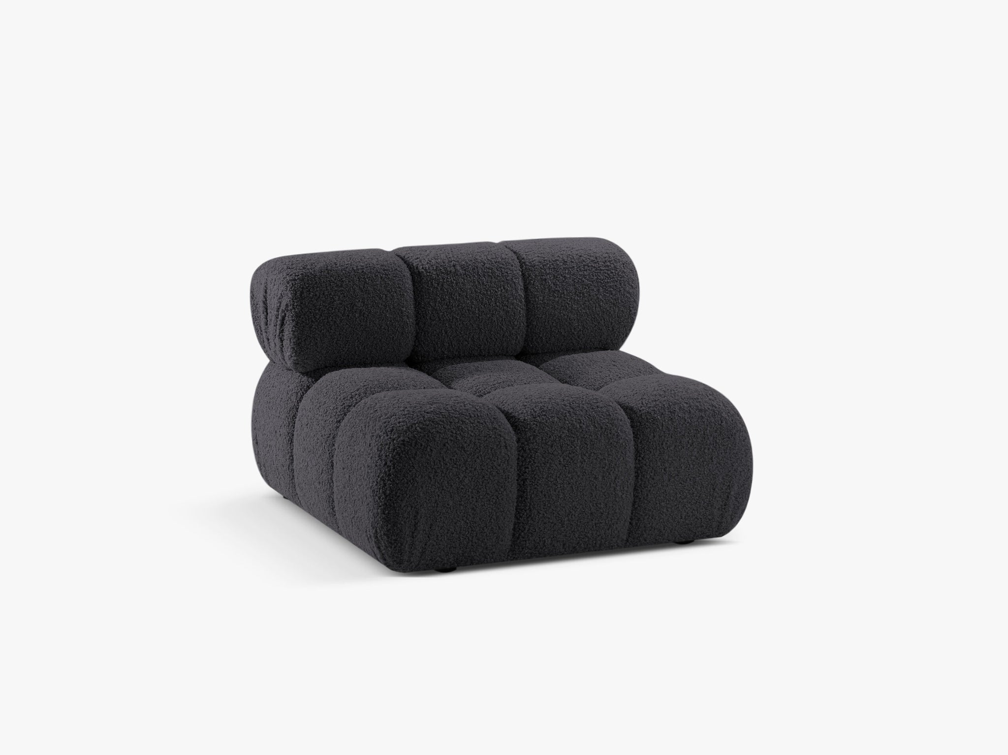 Bellis bazni modul