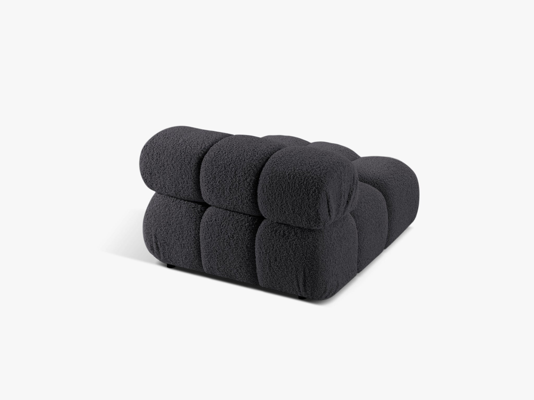 Bellis bazni modul
