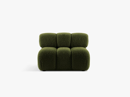 Bellis bazni modul
