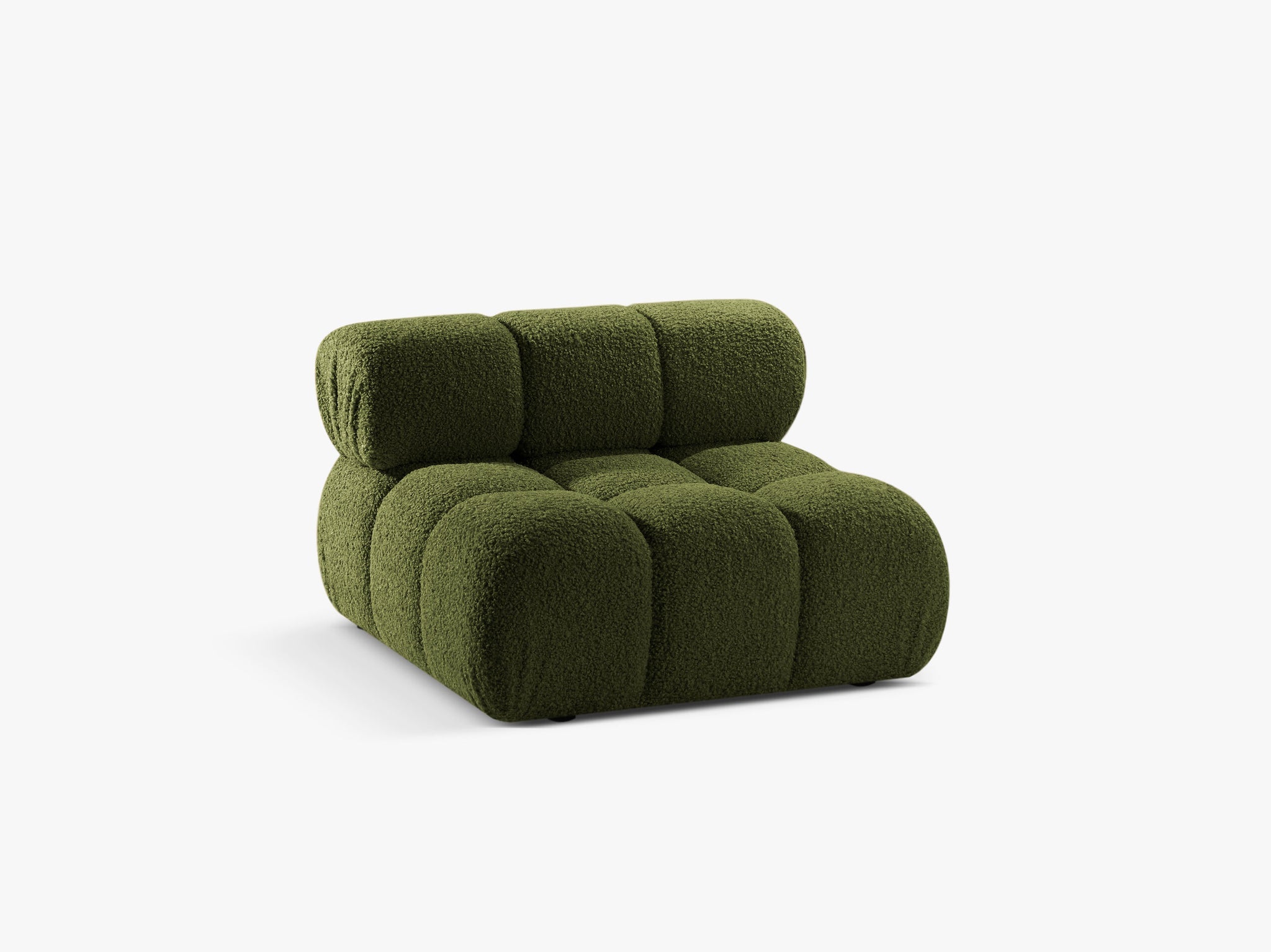 Bellis bazni modul