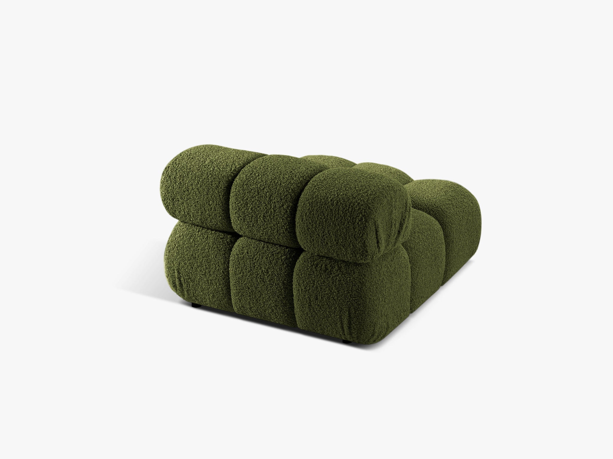 Bellis bazni modul