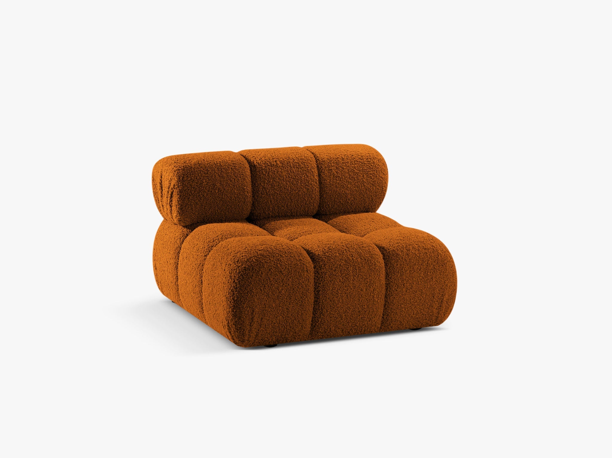 Bellis bazni modul