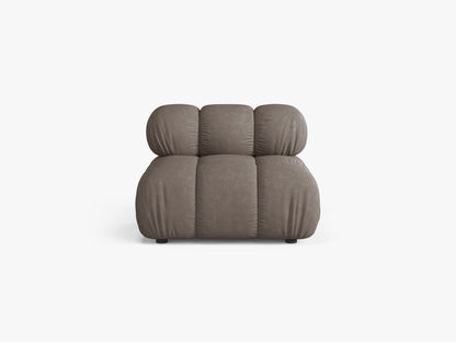 Bellis bazni modul