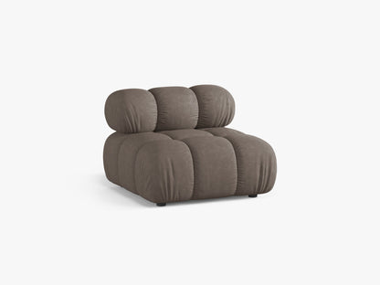 Bellis bazni modul