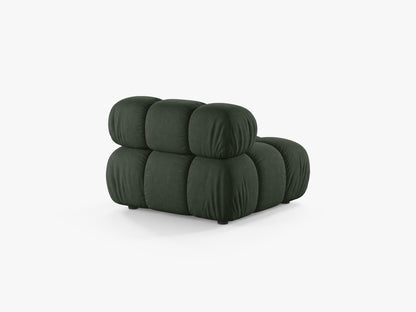 Bellis bazni modul