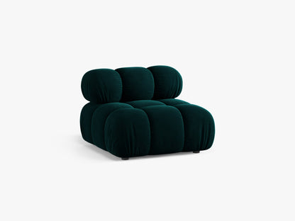 Bellis bazni modul
