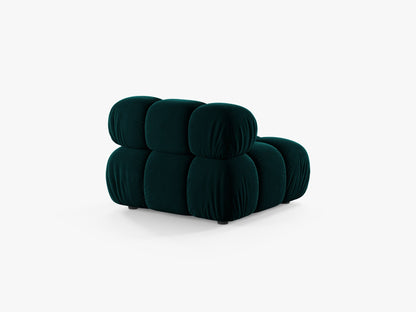 Bellis bazni modul