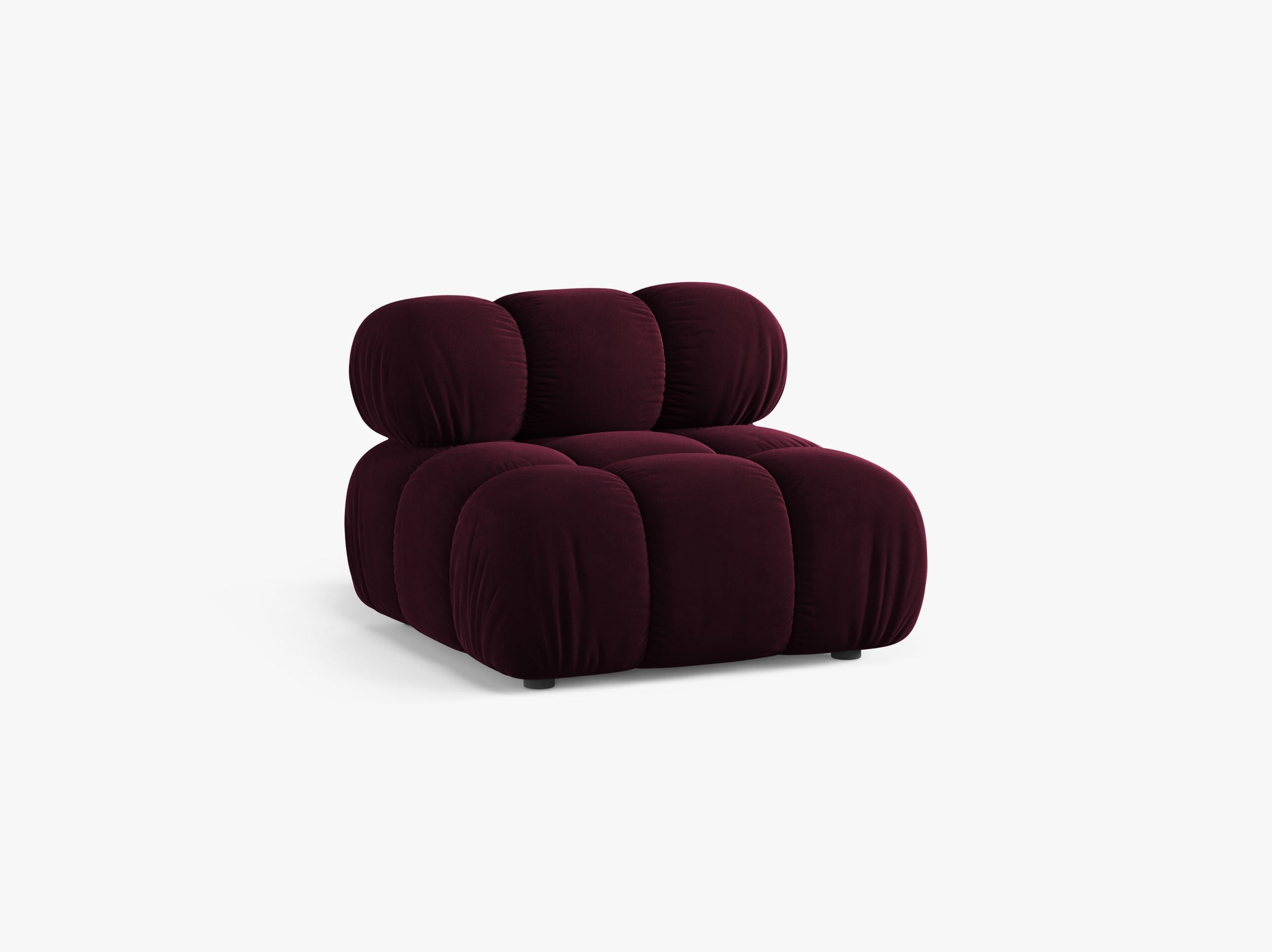 Bellis bazni modul