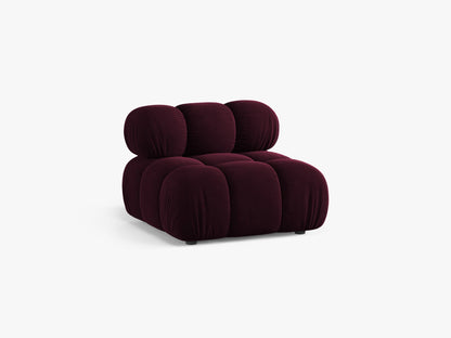 Bellis bazni modul
