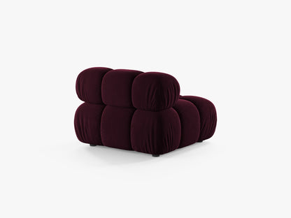 Bellis bazni modul