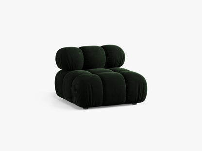 Bellis bazni modul