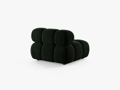 Bellis bazni modul
