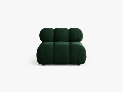 Bellis bazni modul