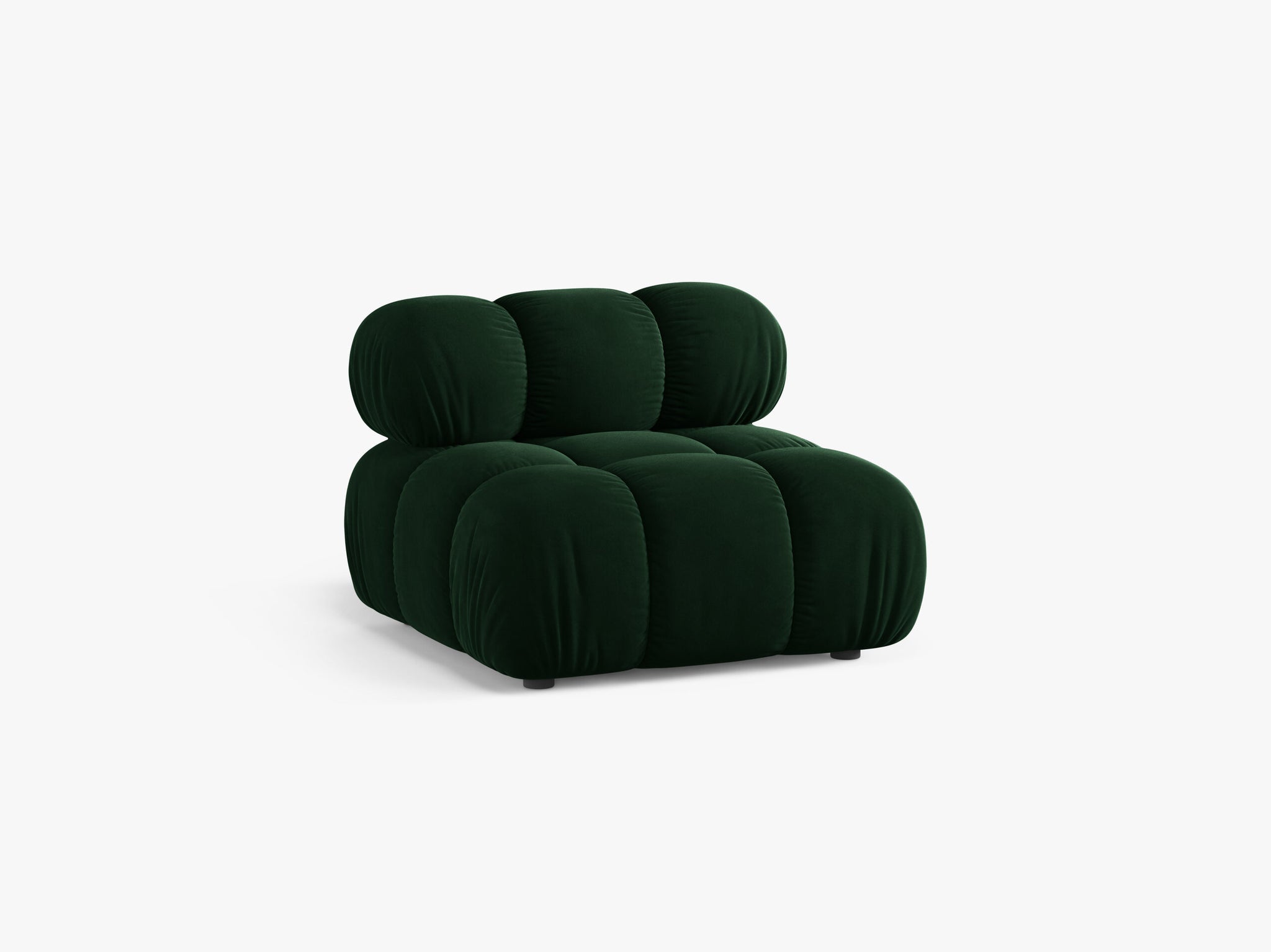 Bellis bazni modul